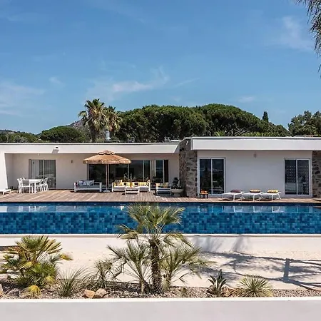 Palm Dreams L 70s Design L Shellter Дом отдыха