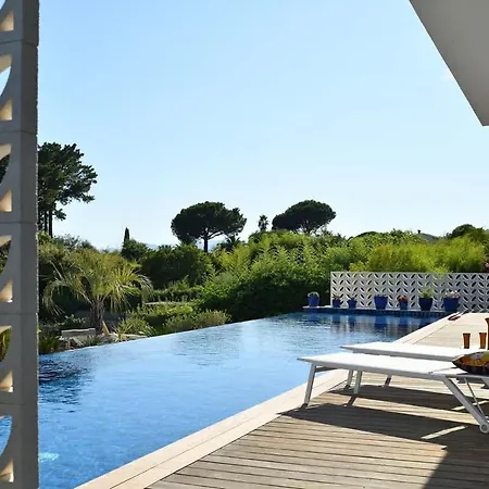 Palm Dreams L 70s Design L Shellter Grimaud
