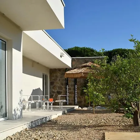 Palm Dreams L 70s Design L Shellter * Grimaud