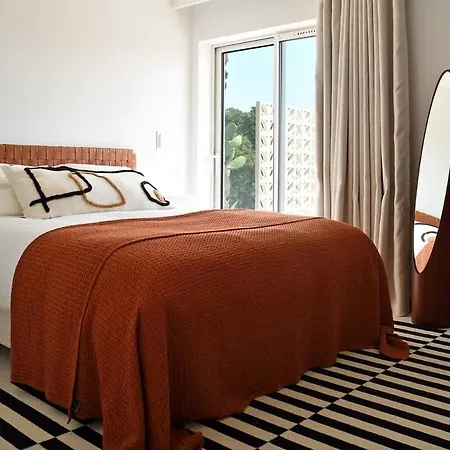 Palm Dreams L 70s Design L Shellter * 그리모