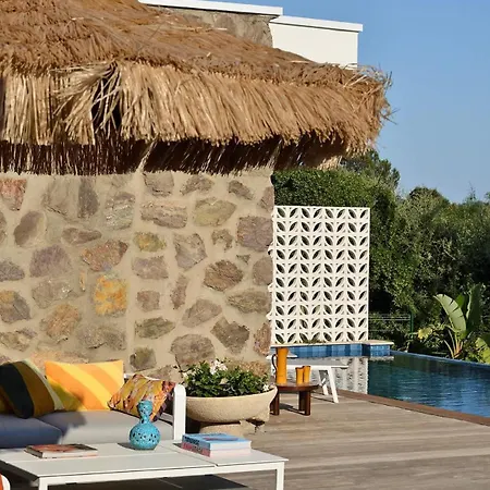 Palm Dreams L 70s Design L Shellter Casa de Férias