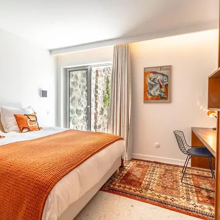 Palm Dreams L 70s Design L Shellter *