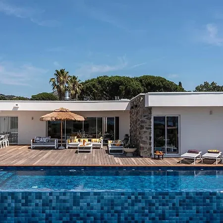 Palm Dreams L 70s Design L Shellter Tatil Evi *