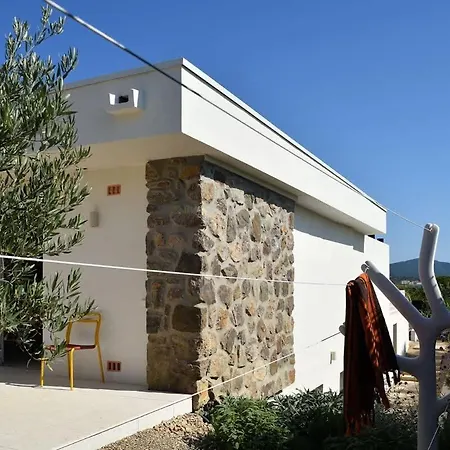 Palm Dreams - - Pool & Sea View Holiday home Grimaud