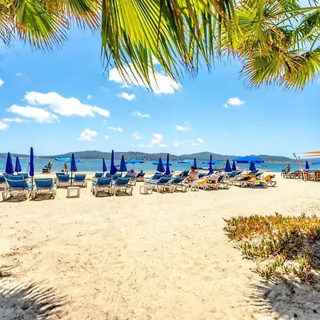Palm Dreams - - Pool & Sea View Holiday home *