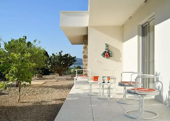 Tatil Evi Palm Dreams L 70s Design L Shellter *