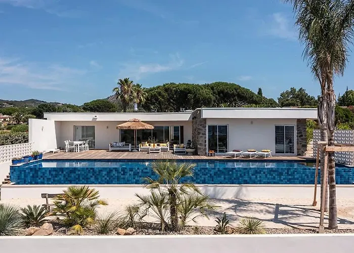 Palm Dreams L 70s Design L Shellter Tatil Evi