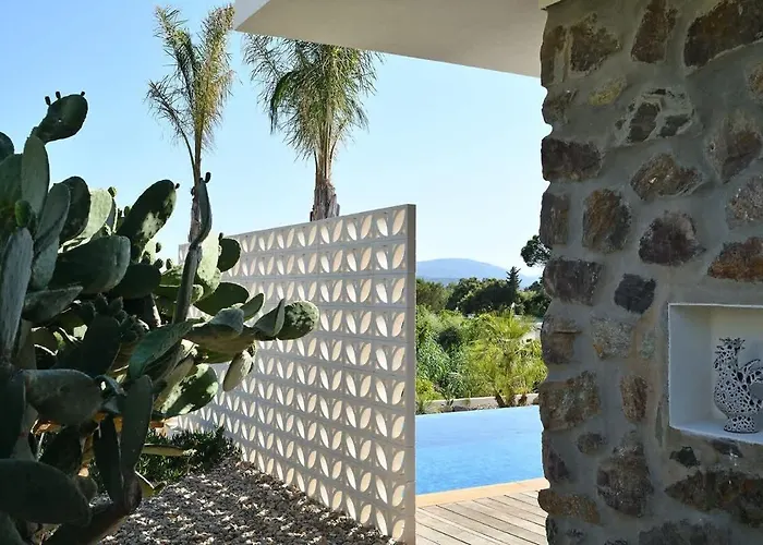Tatil Evi Palm Dreams L 70s Design L Shellter