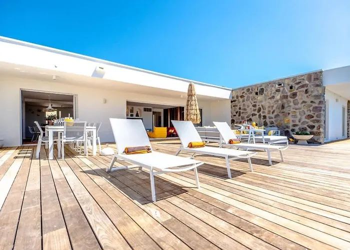 Tatil Evi Palm Dreams L 70s Design L Shellter Grimaud