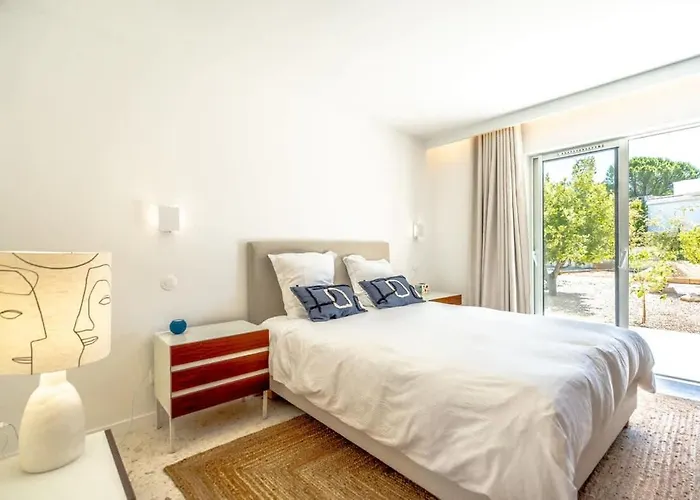 Palm Dreams L 70s Design L Shellter Grimaud