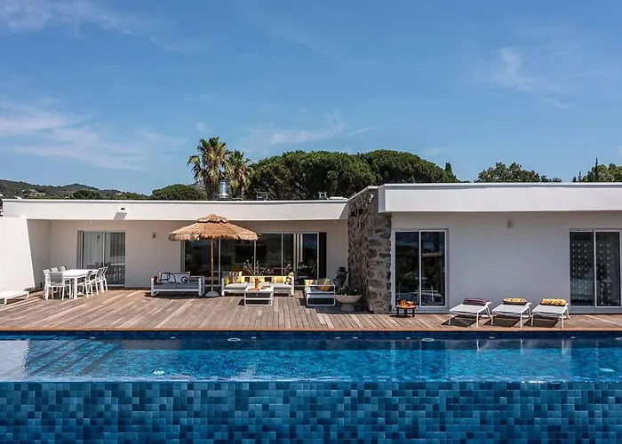 Palm Dreams L 70s Design L Shellter Tatil Evi *