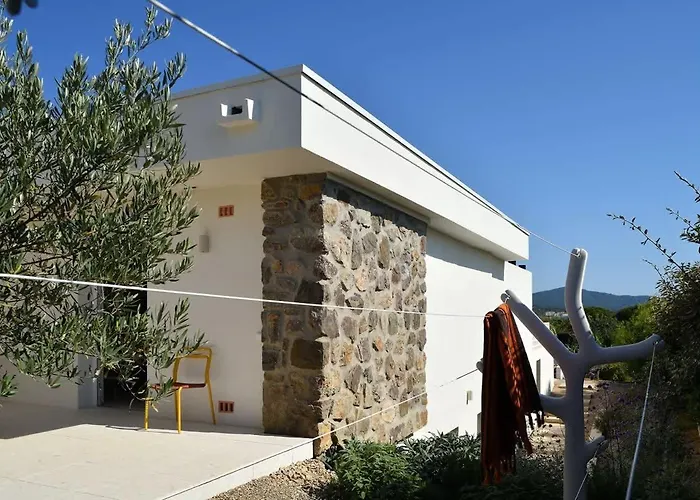 Palm Dreams L 70s Design L Shellter Tatil Evi Grimaud