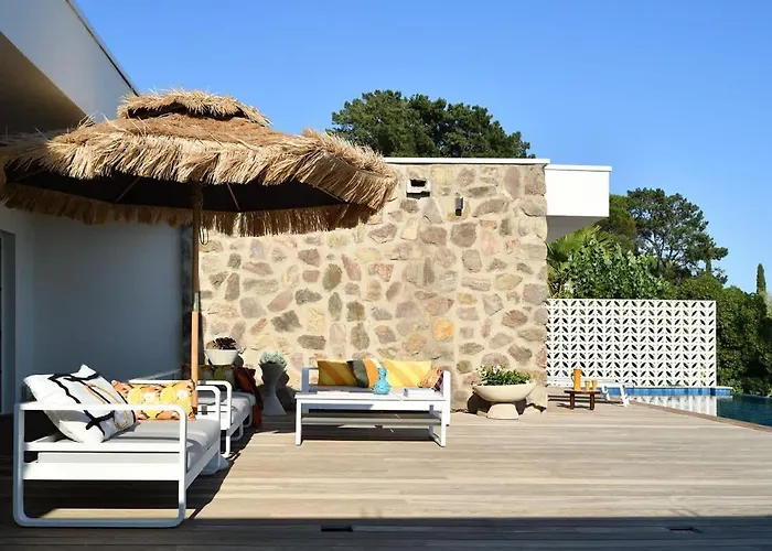 Tatil Evi Palm Dreams L 70s Design L Shellter Grimaud