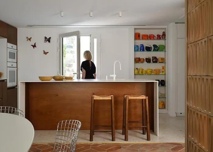 Palm Dreams L 70s Design L Shellter Grimaud