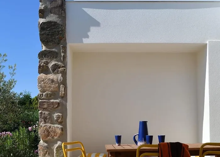 Palm Dreams L 70s Design L Shellter * Grimaud