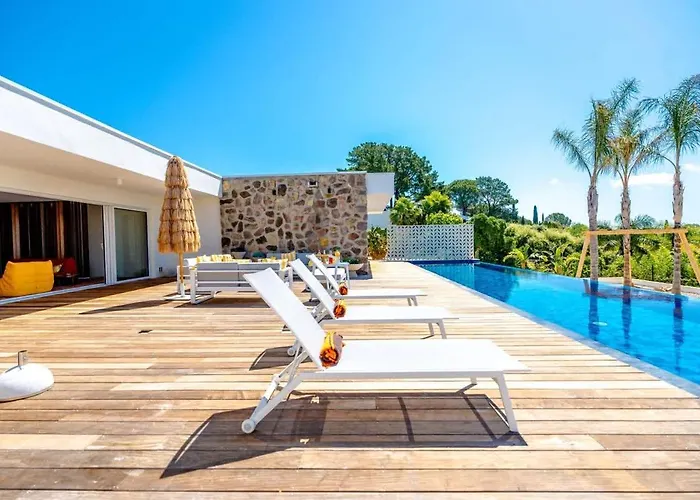 Palm Dreams L 70s Design L Shellter Tatil Evi
