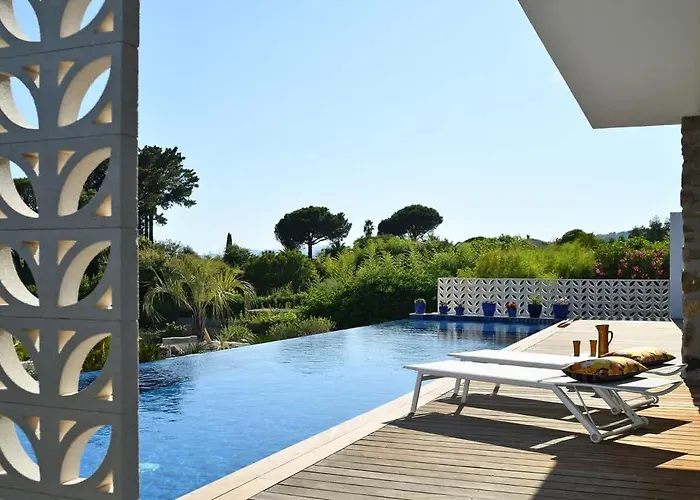 Palm Dreams L 70s Design L Shellter Grimaud