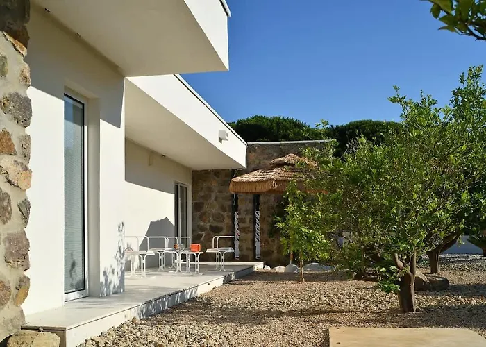Palm Dreams L 70s Design L Shellter * Grimaud