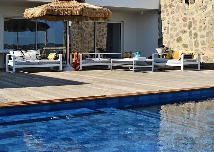 Palm Dreams L 70s Design L Shellter Tatil Evi