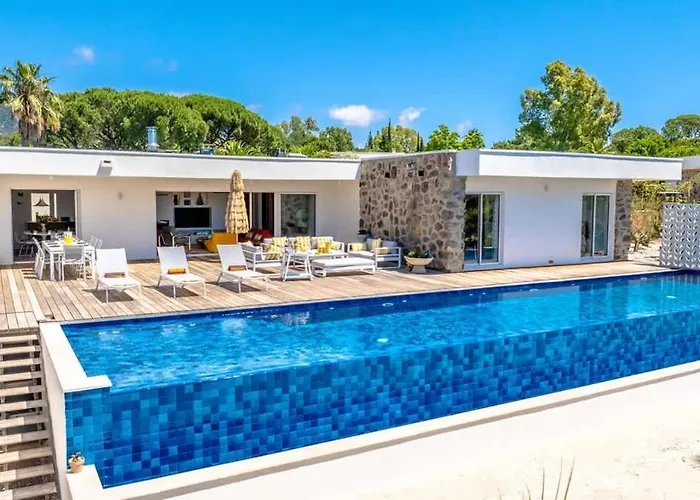Palm Dreams L 70s Design L Shellter Tatil Evi Grimaud