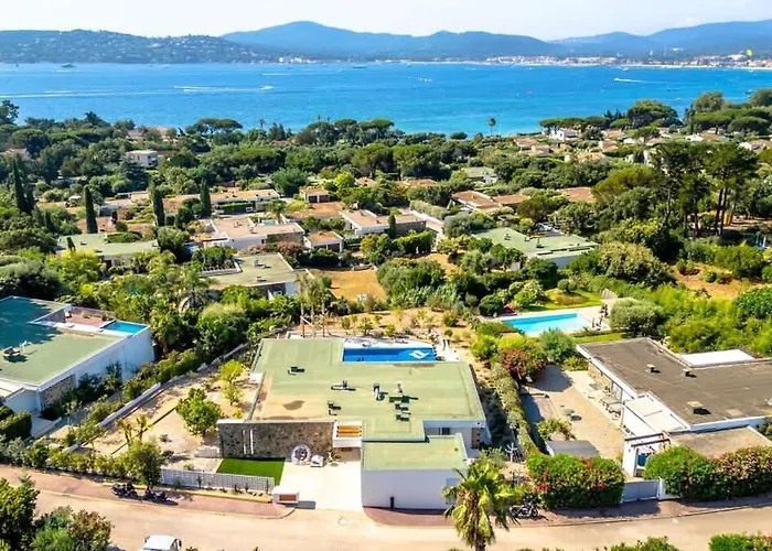 Palm Dreams L 70s Design L Shellter * Grimaud