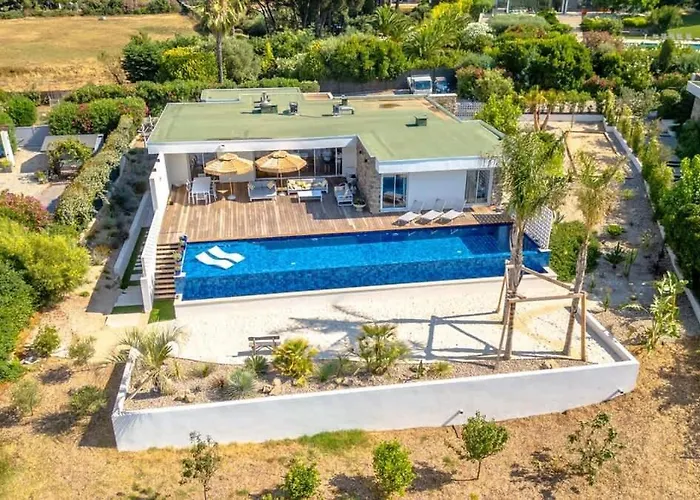 Tatil Evi Palm Dreams L 70s Design L Shellter