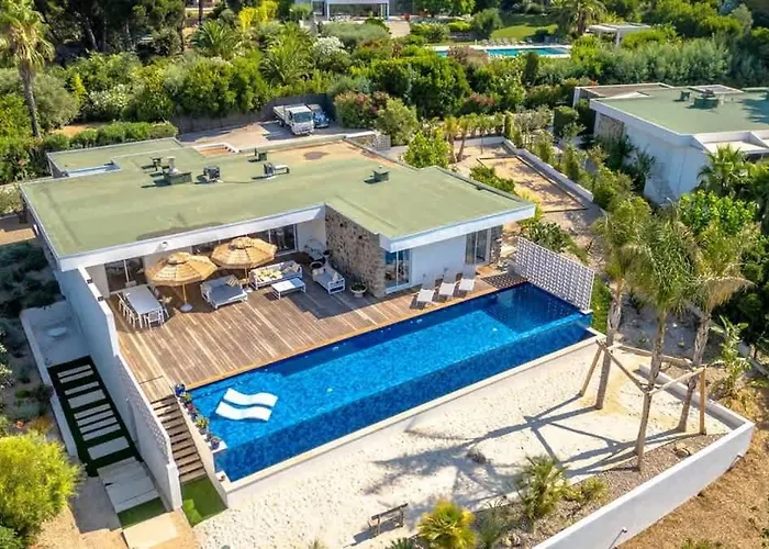 Tatil Evi Palm Dreams L 70s Design L Shellter Grimaud