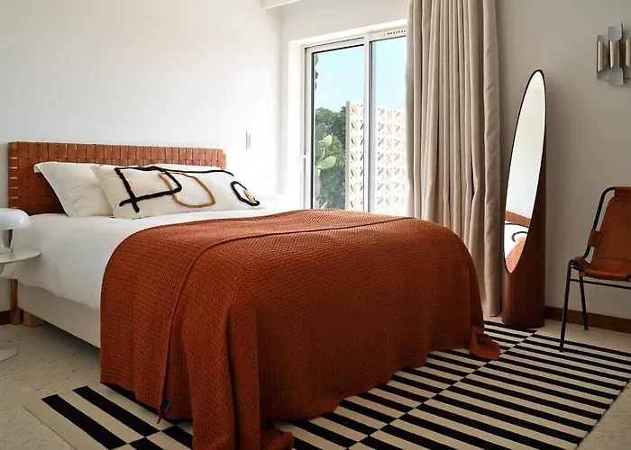Palm Dreams L 70s Design L Shellter * Grimaud