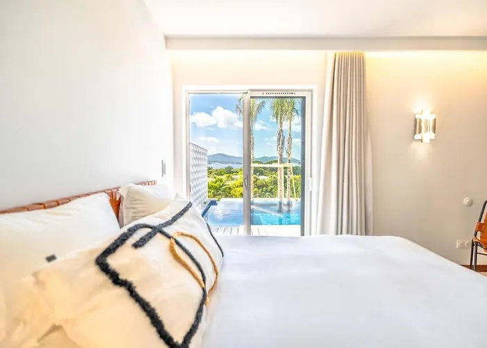 Palm Dreams L 70s Design L Shellter Tatil Evi
