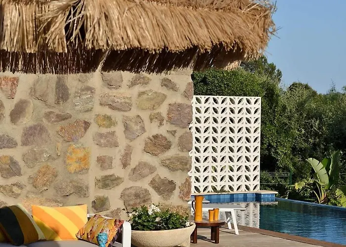 Palm Dreams L 70s Design L Shellter Tatil Evi