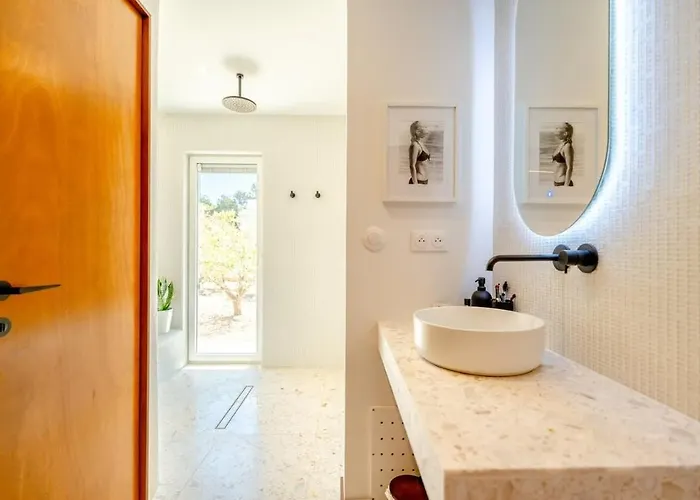 Palm Dreams L 70s Design L Shellter Tatil Evi Grimaud