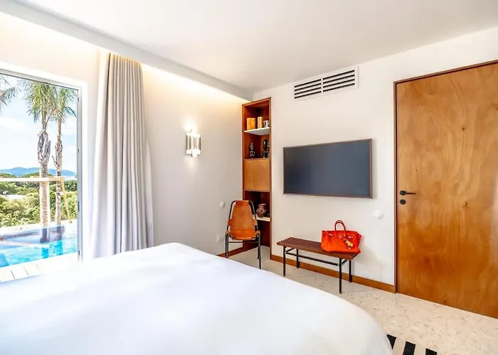 Palm Dreams L 70s Design L Shellter Tatil Evi